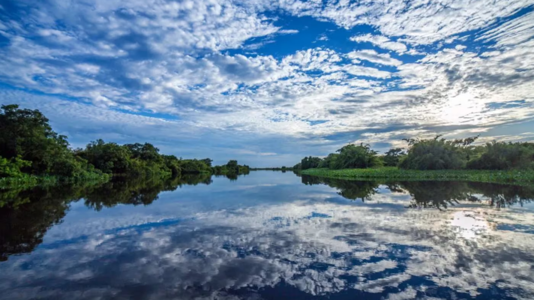 El turismo del futuro: regenerando destinos y sosteniendo el planeta