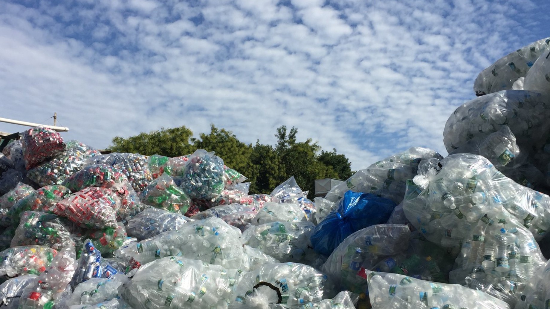 Nanoplásticos embotellados