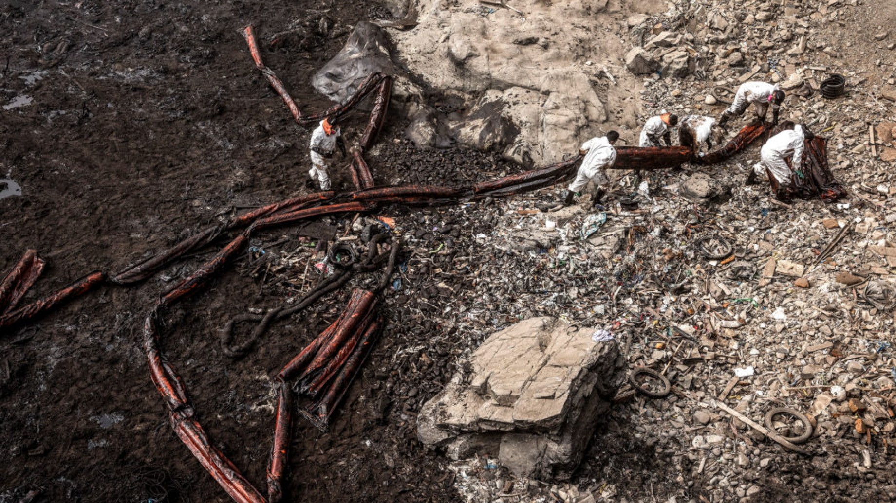 Ecocidio: ¿Qué es y por qué podría considerarse un delito internacional?