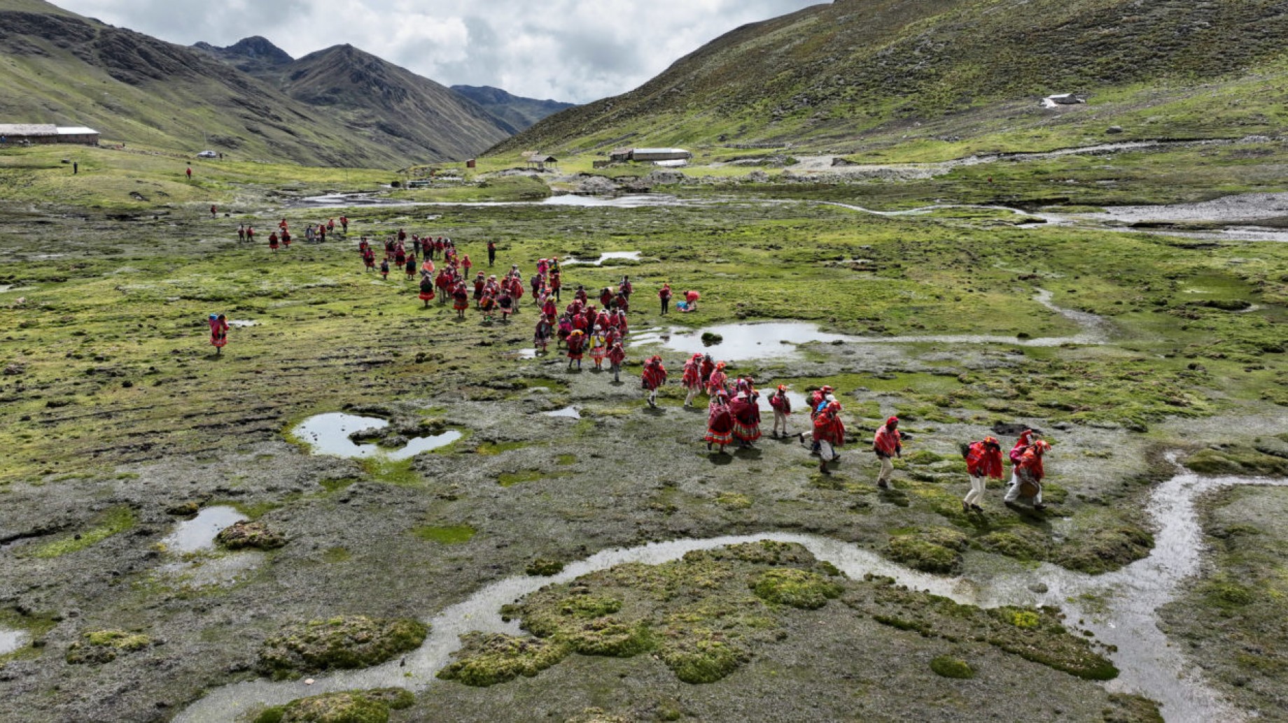 Acción Andina: la ONG que quiere reforestar los Andes