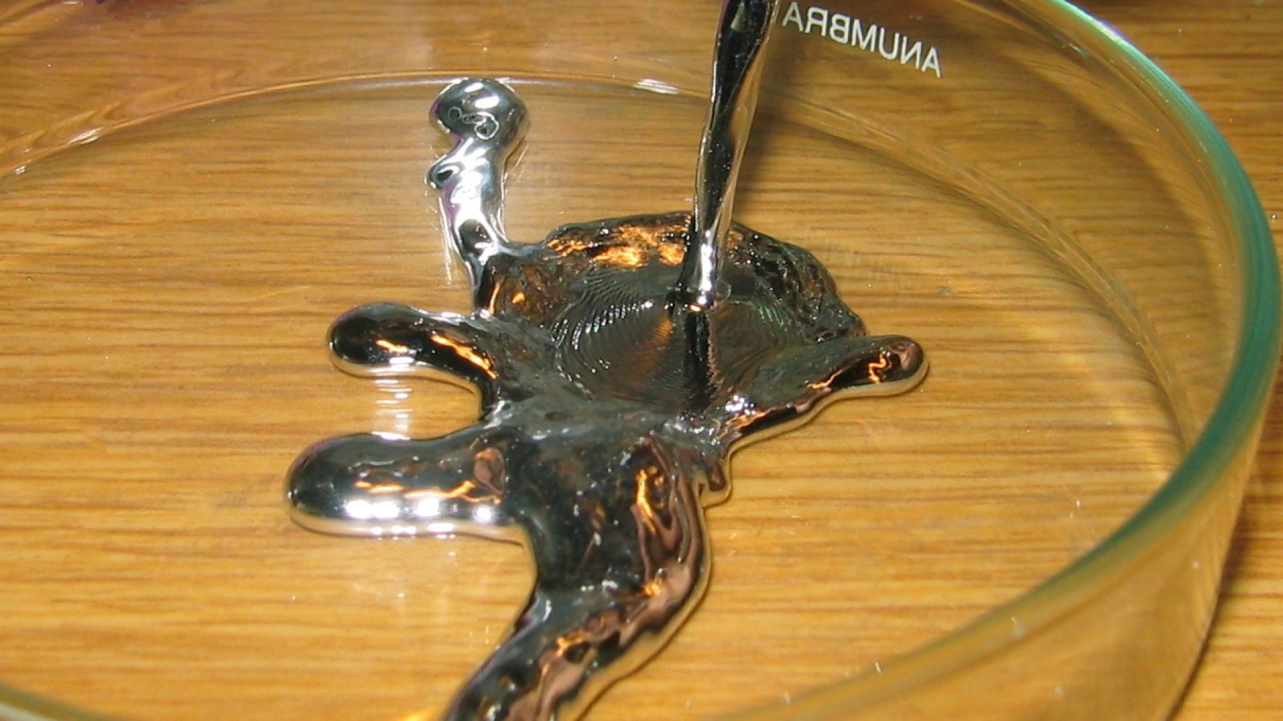 Día del Compromiso Internacional del Control del Mercurio