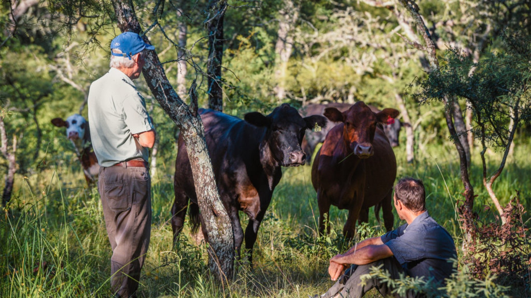 Ganaderos buscan la sostenibilidad en el Gran Chaco argentino