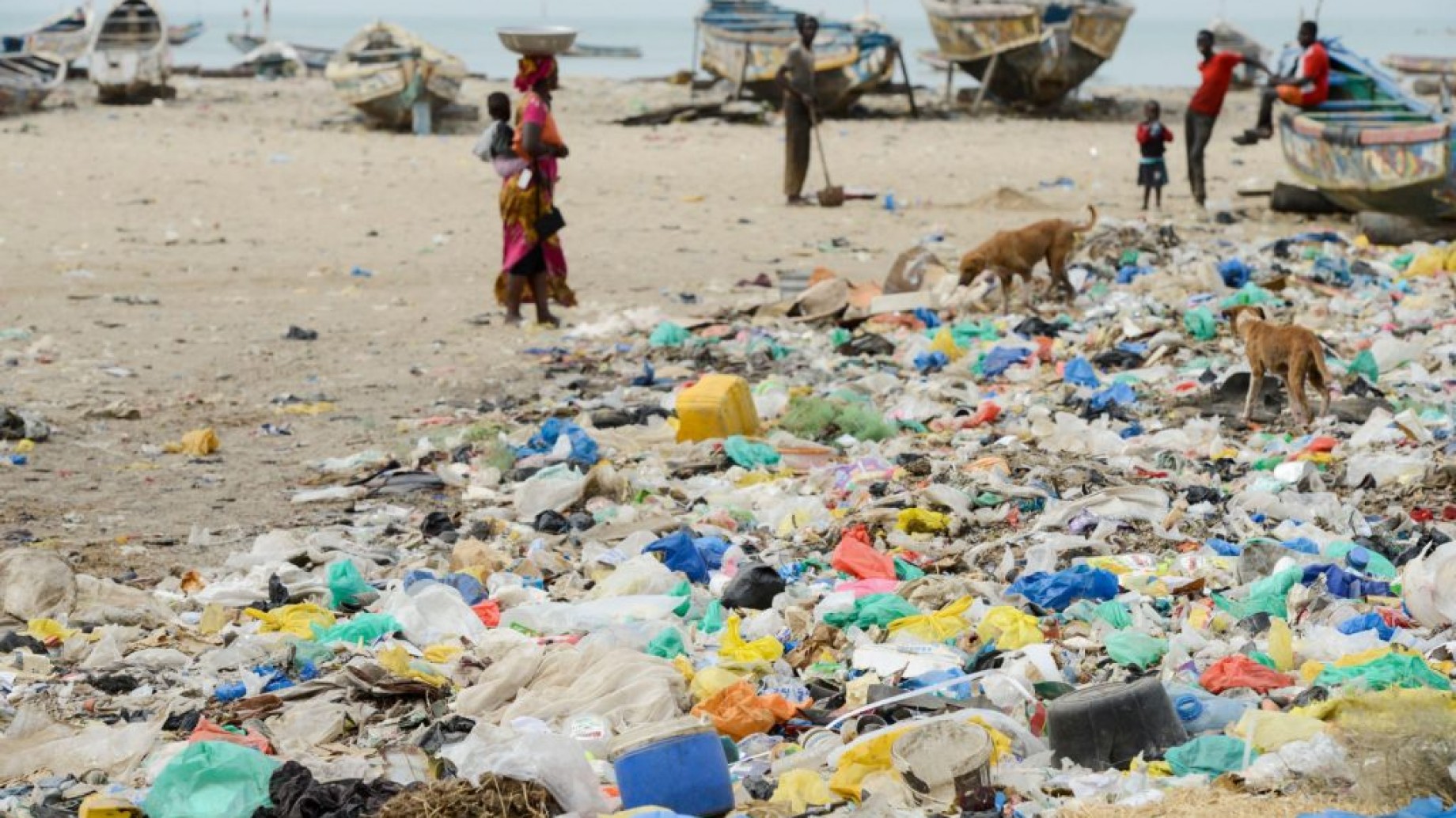 El plástico en los océanos podría propagar enfermedades a los humanos