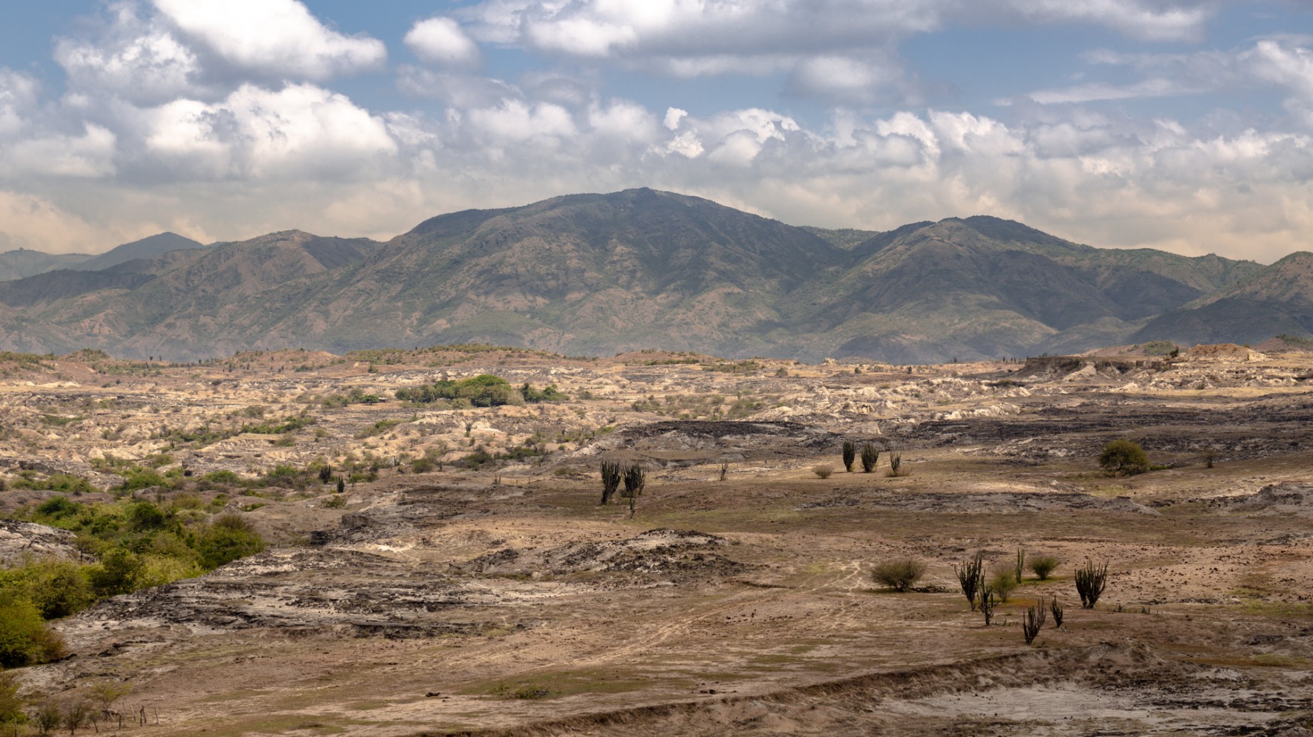 Argumentos y contraargumentos sobre cambio climático