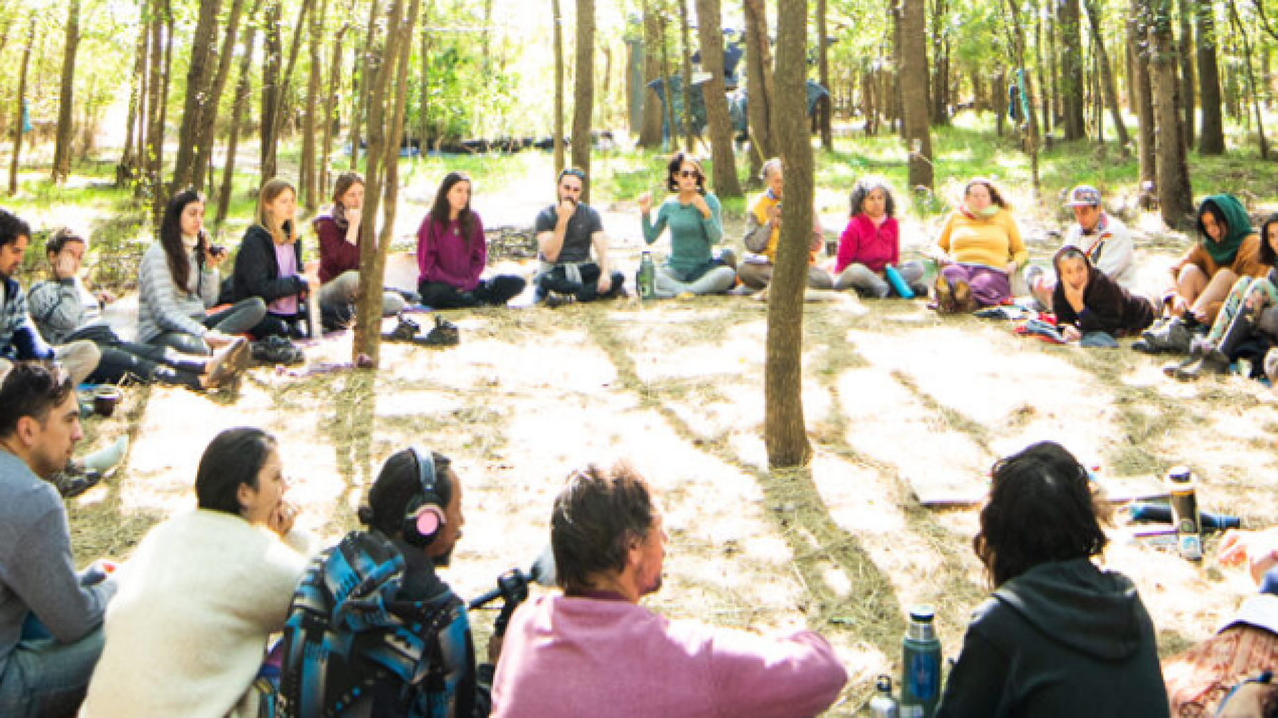 Diseño Resiliente para la Regeneración