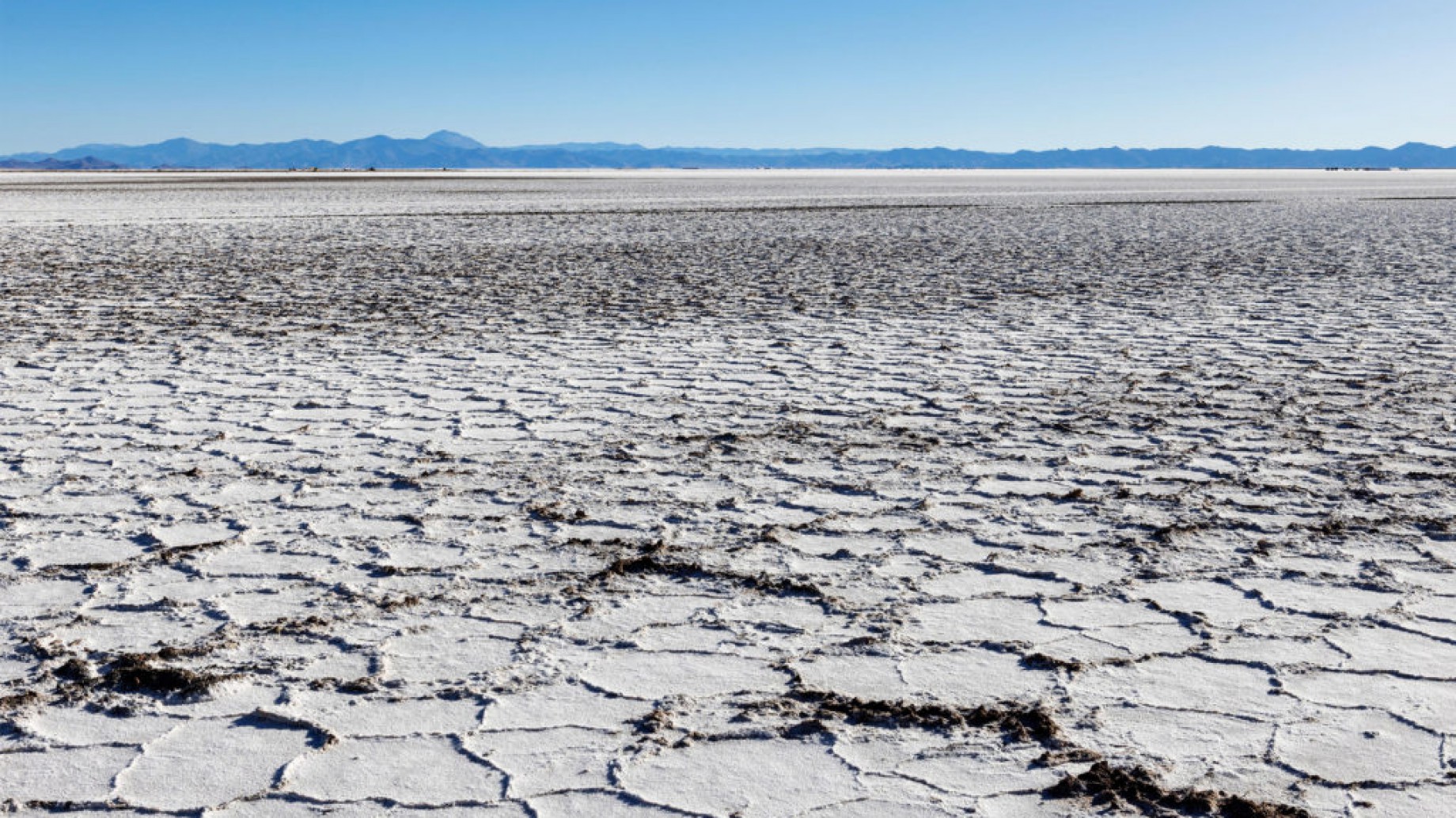 ¿Quiénes son los dueños del litio en Argentina?
