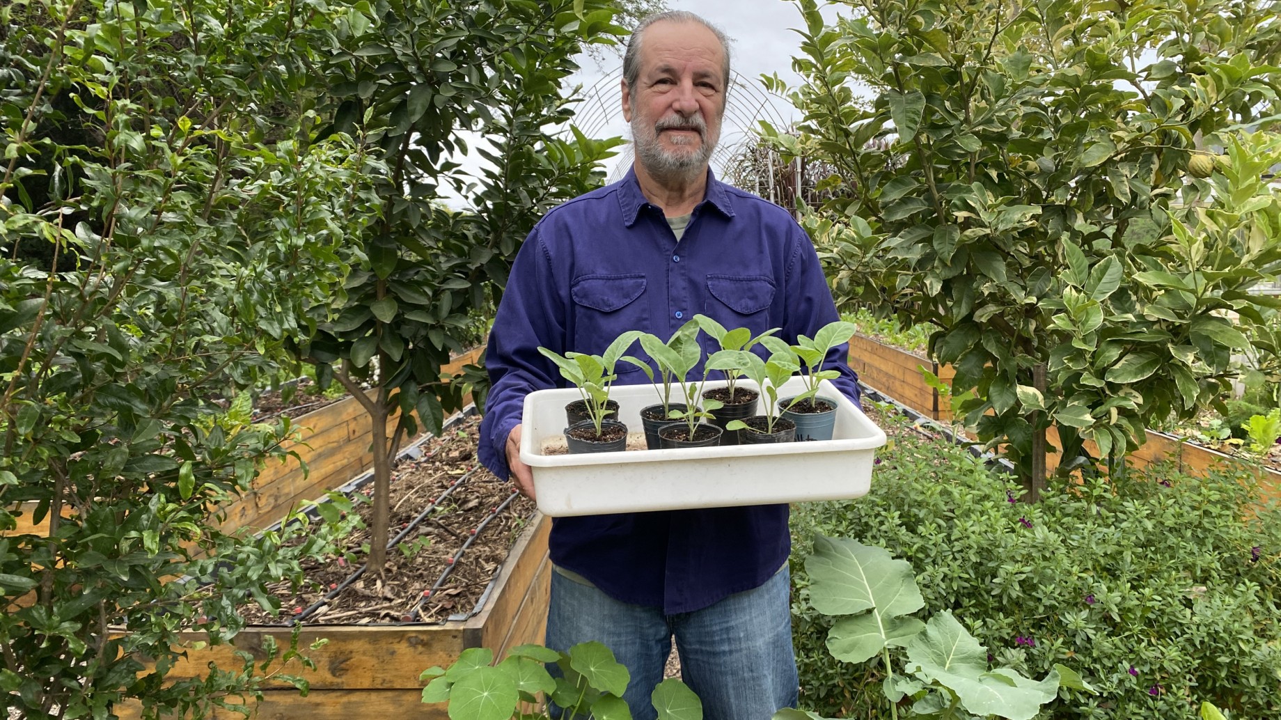 El libro de la huerta