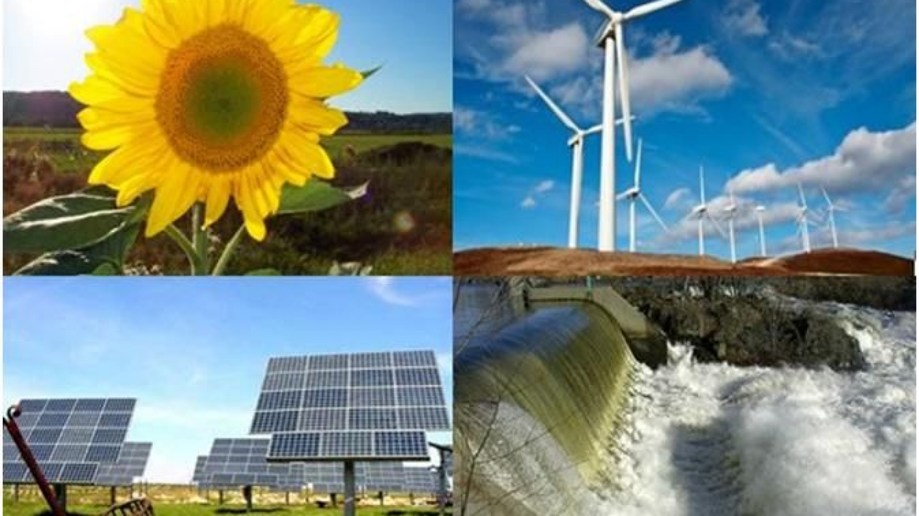 Por primera vez en la historia, las renovables lograron reducir el uso de combustibles fósiles. Europa lidera la reconversión