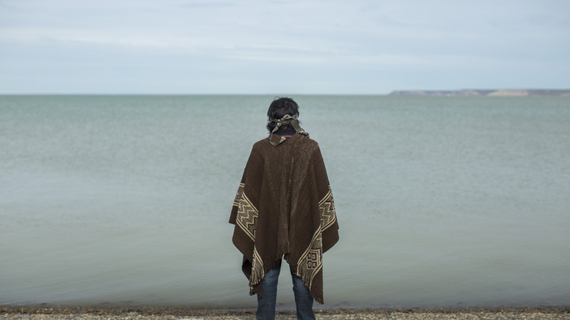 ¿Quiénes protegen los ecosistemas naturales del país?