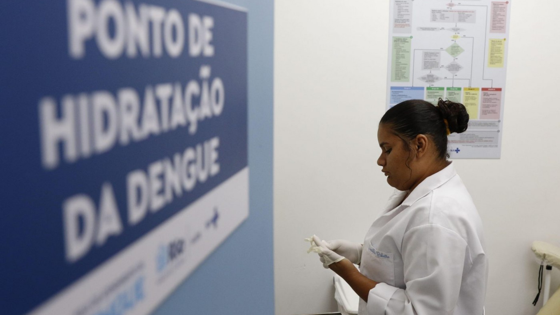 El dengue, ¿una constante a futuro en América del Sur?