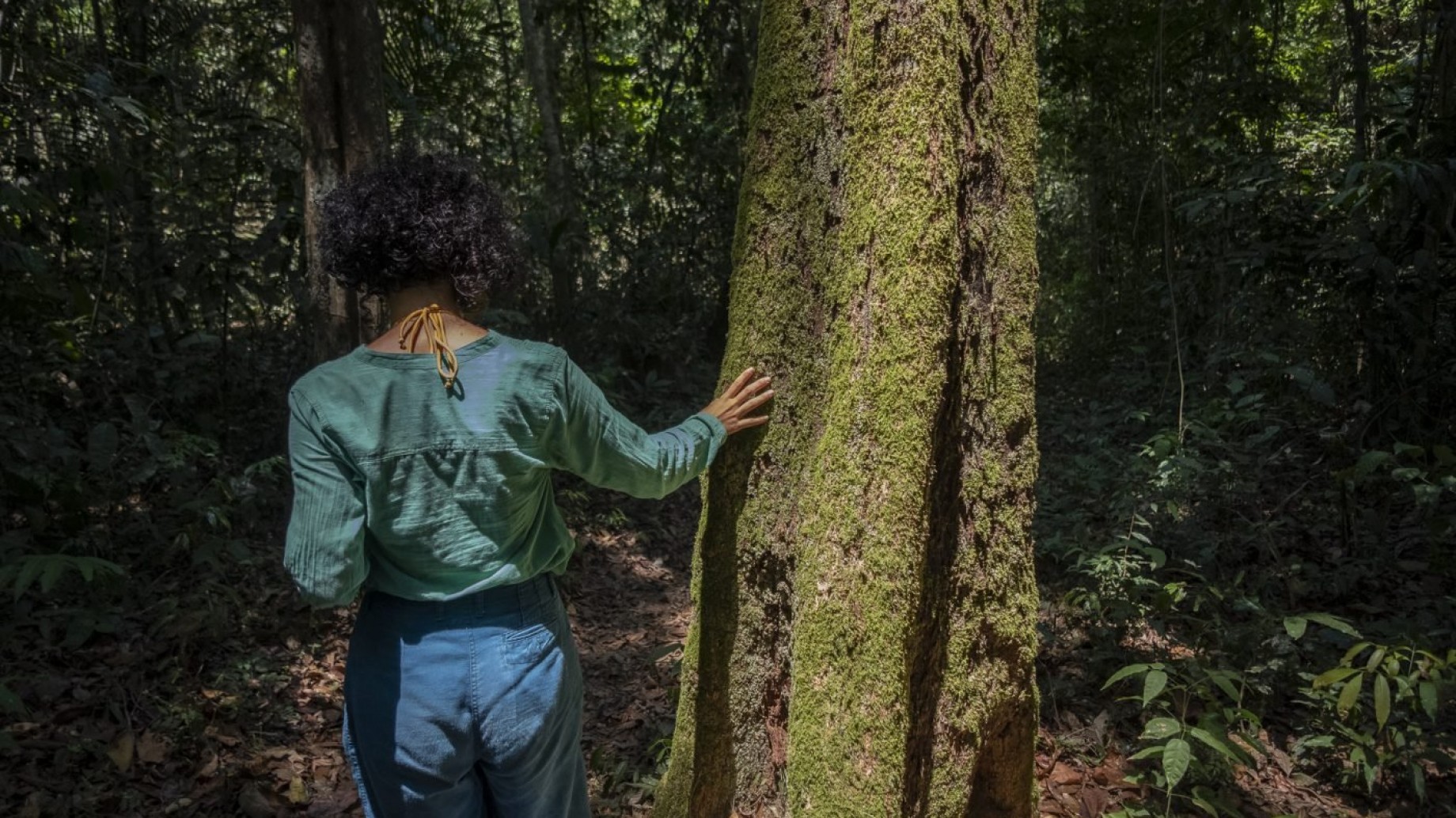 Brasil se apura a lanzar su mercado de carbono antes de la COP30