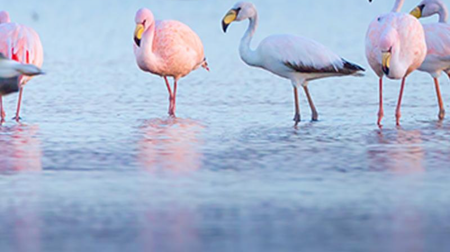 Nuevo ciclo de charlas abiertas y gratuitas