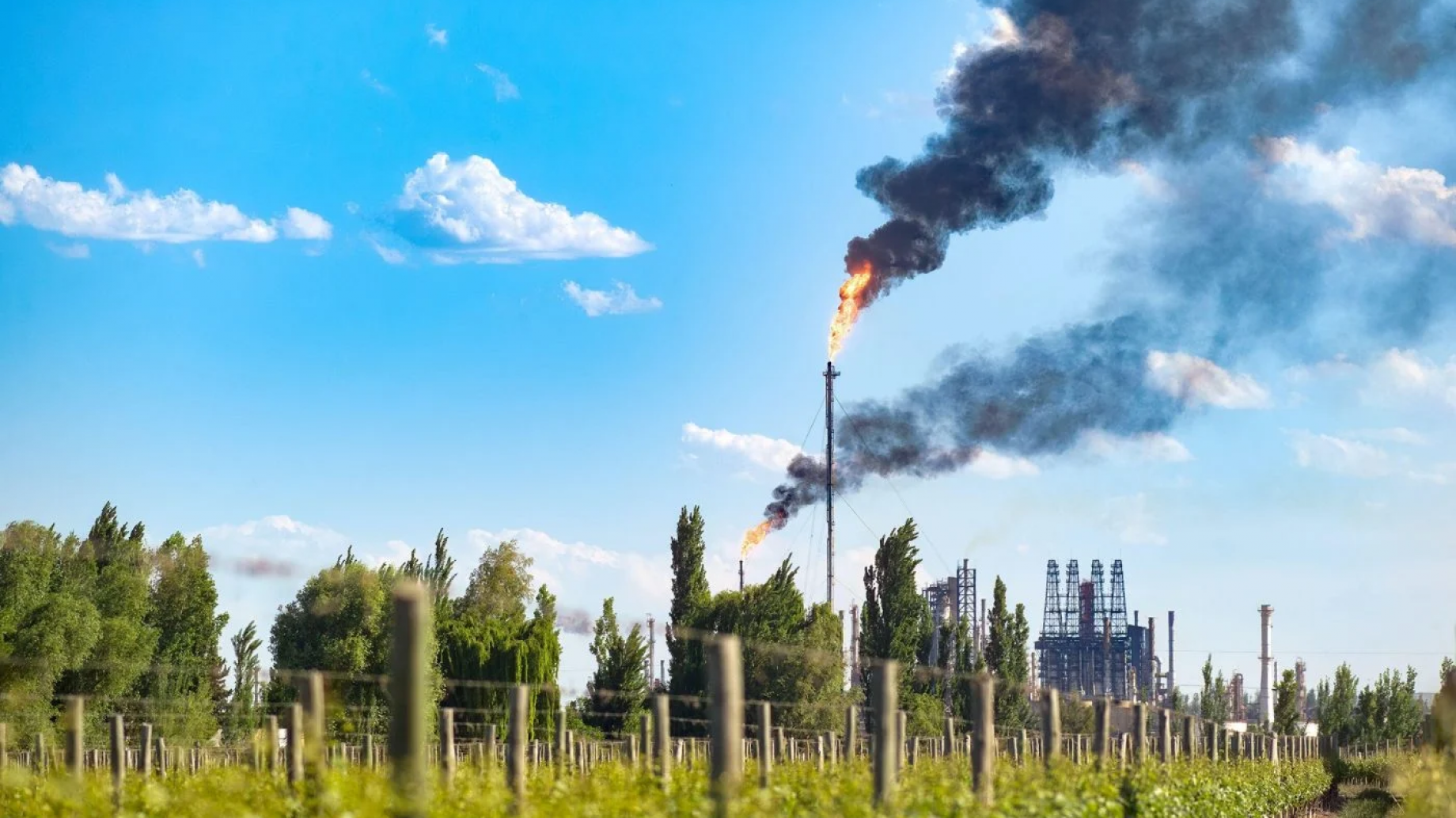 ¿Puede Argentina cumplir con sus planes climáticos bajo el gobierno de Milei?