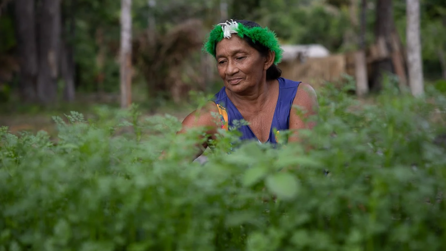 El Acuerdo de Escazú fortalece los litigios ambientales en Latinoamérica y el Caribe