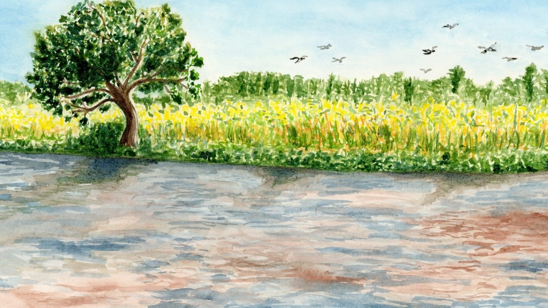 La crisis ecológica amenaza la identidad del río Paraná