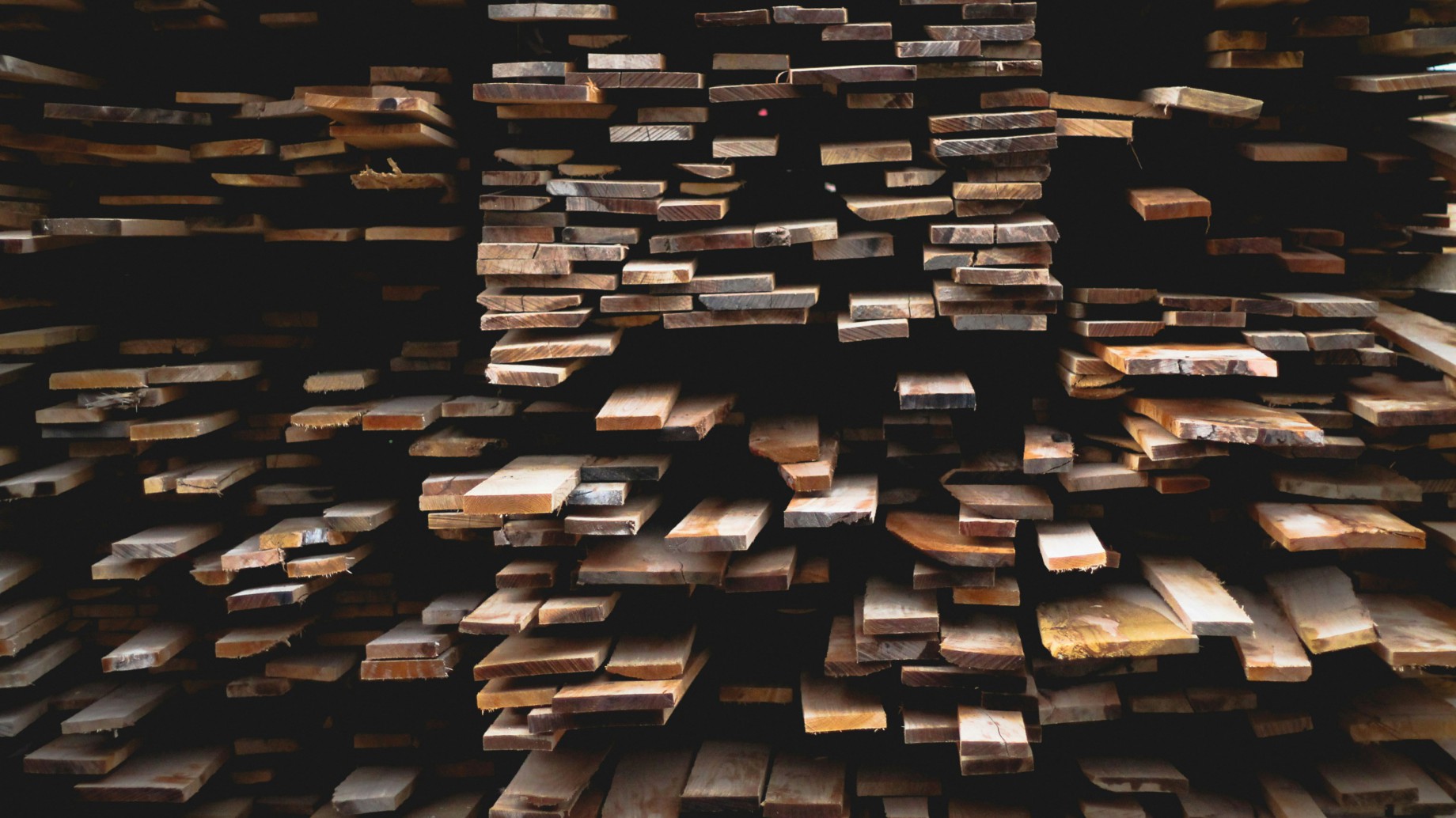 Automóviles eléctricos y desarrollos forestales se suman a inversiones sustentables que se financiarán con el RIGI