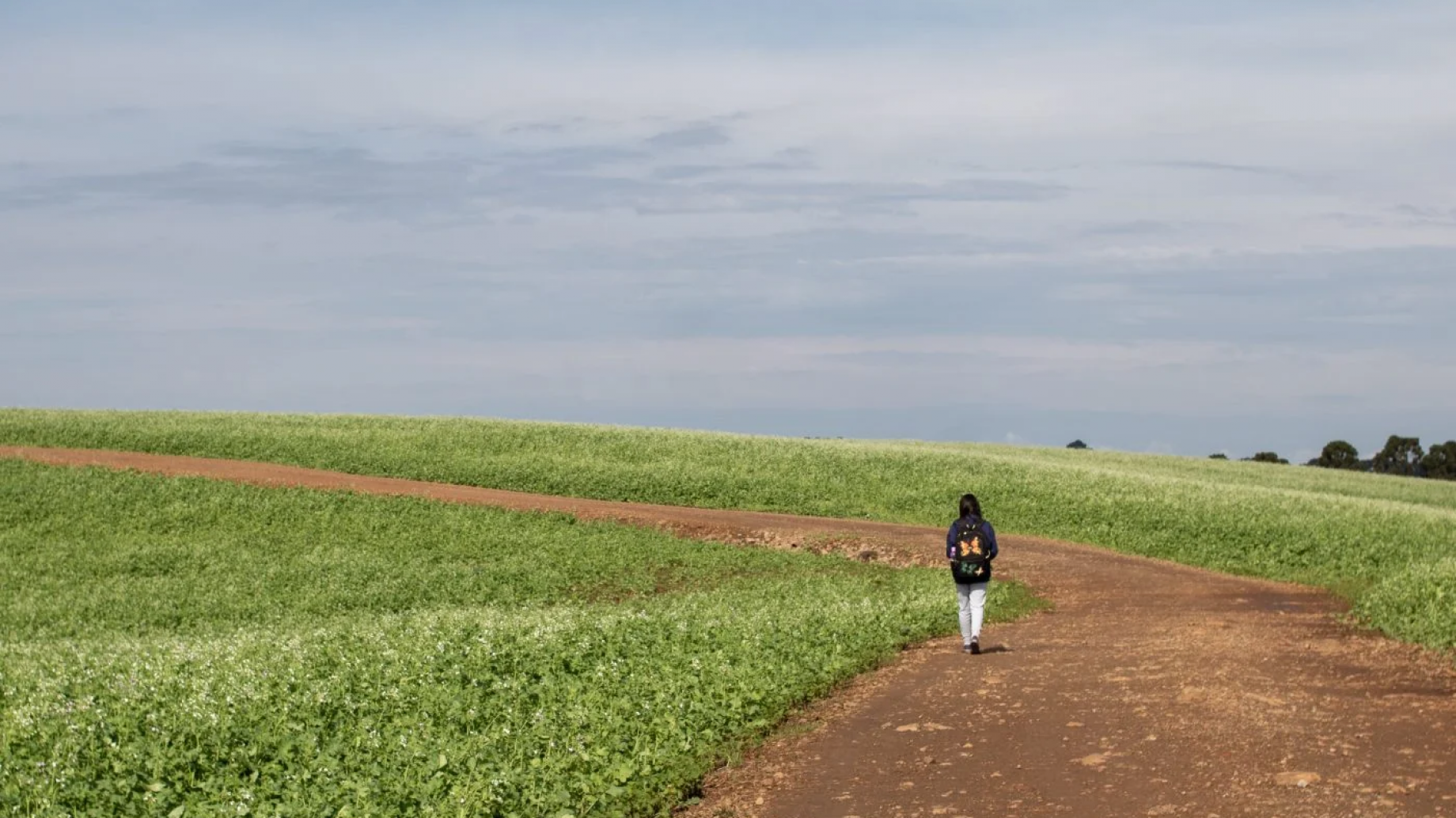 Los niños enfermos de la agricultura brasileña