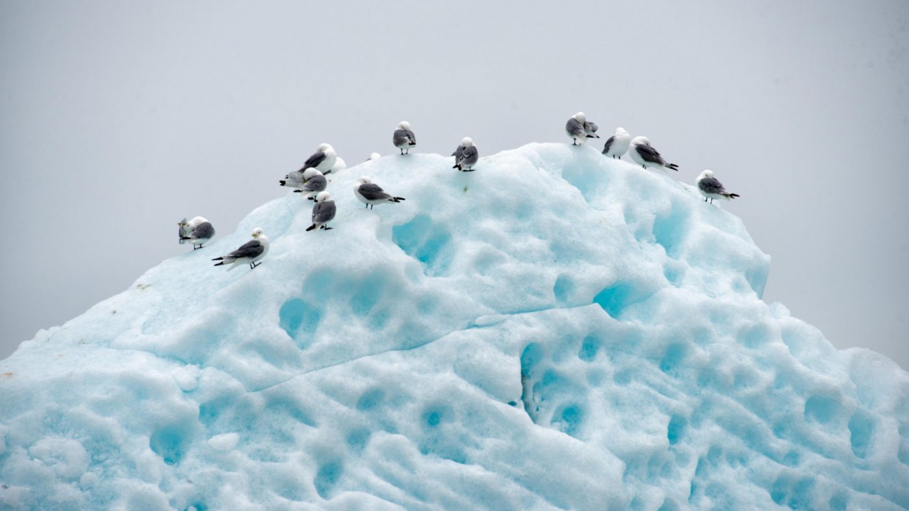 Cambio climático en el Ártico, una alerta para el Sur Global