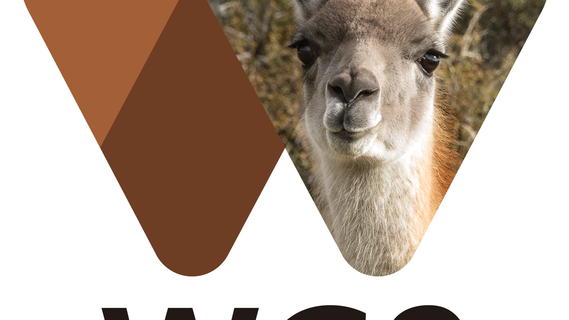 Se inaugura la muestra "Entre fibras y fauna, el arte de la coexistencia"