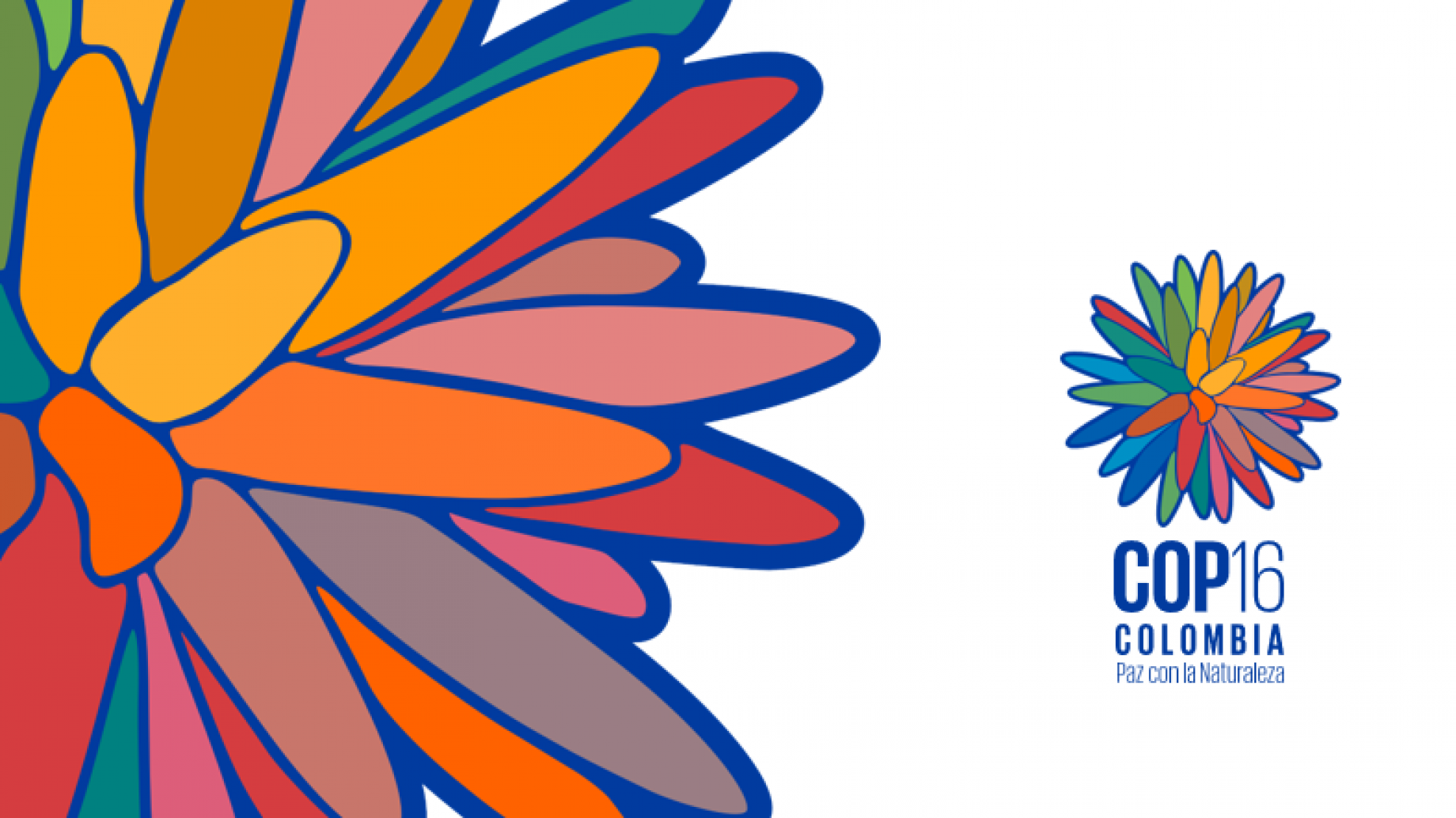 COP16: El llamado de Latinoamérica a la conservación inclusiva