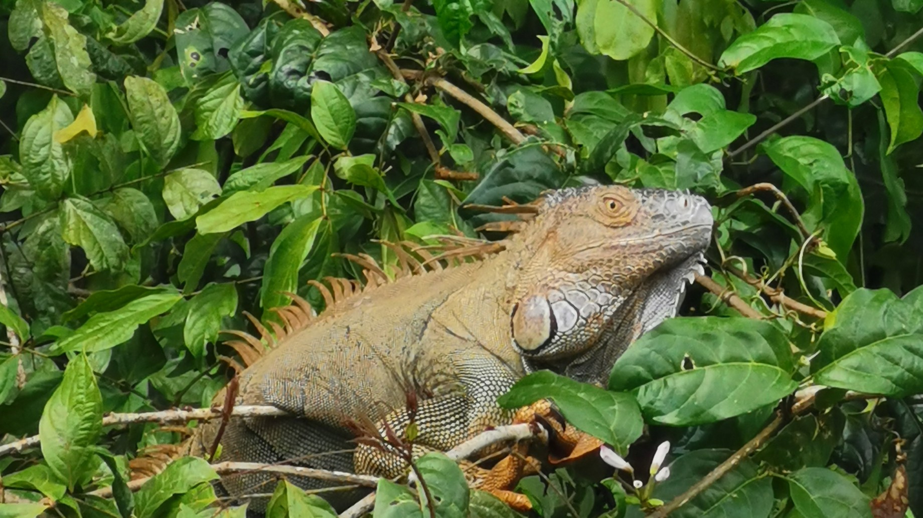 El desafío de obtener financiamiento sin aumentar la deuda