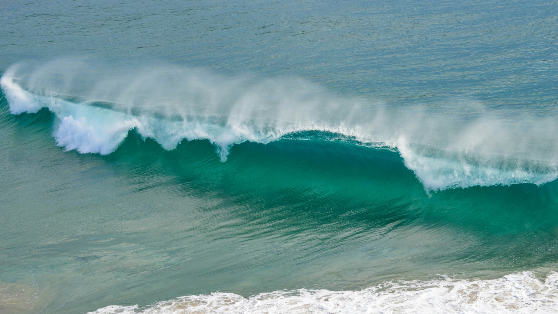 ¿Qué implica el aumento de la temperatura oceánica?