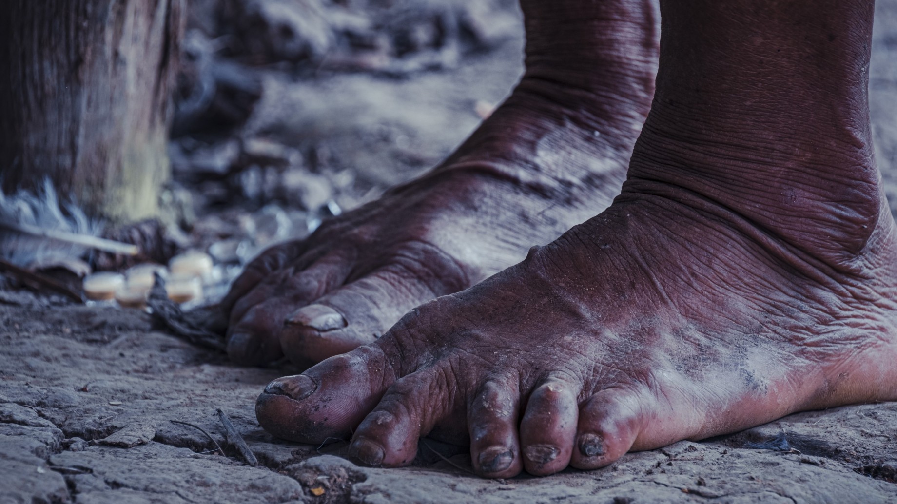 Sangre indígena, tomatillos y ayahuasca: la biopiratería patenta recursos genéticos de manera ilegal