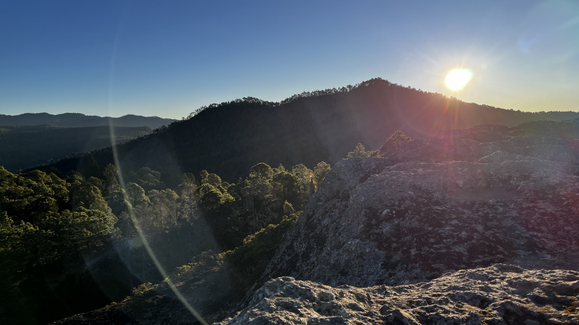 Definiendo las letras pequeñas del marco global de biodiversidad