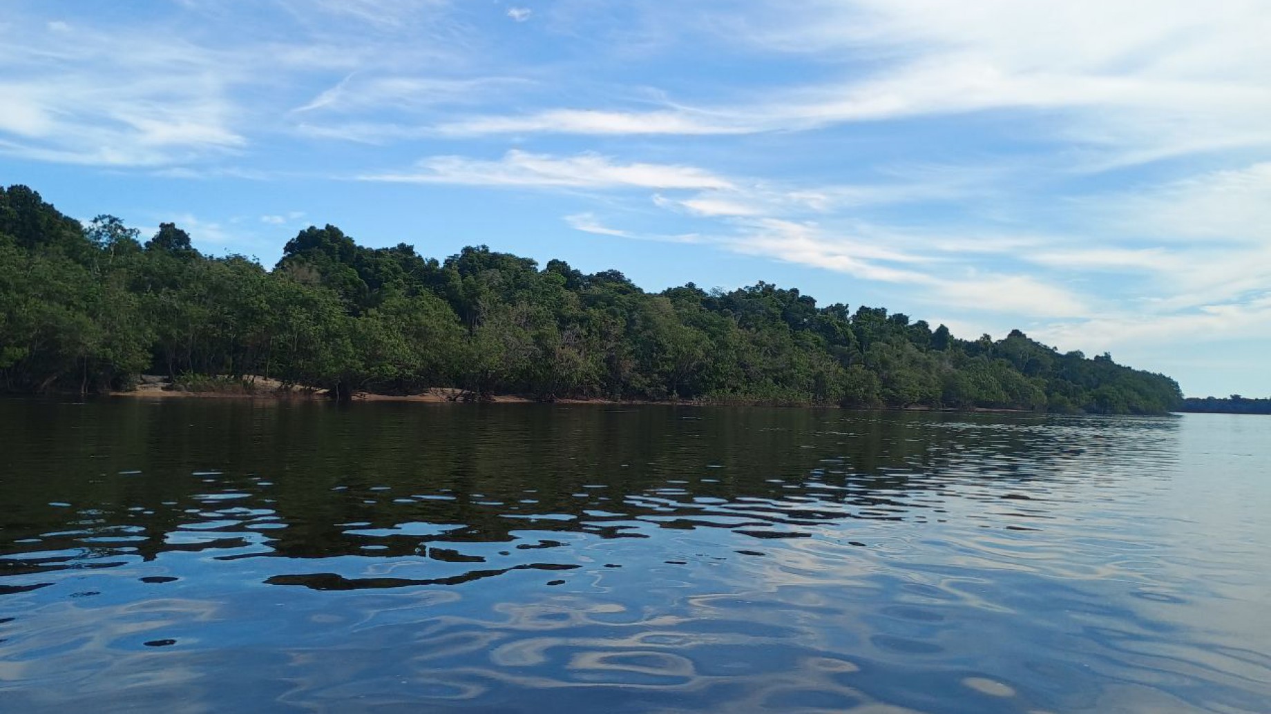 Guardianes de la biodiversidad: el rol de los pueblos indígenas amazónicos en la COP16