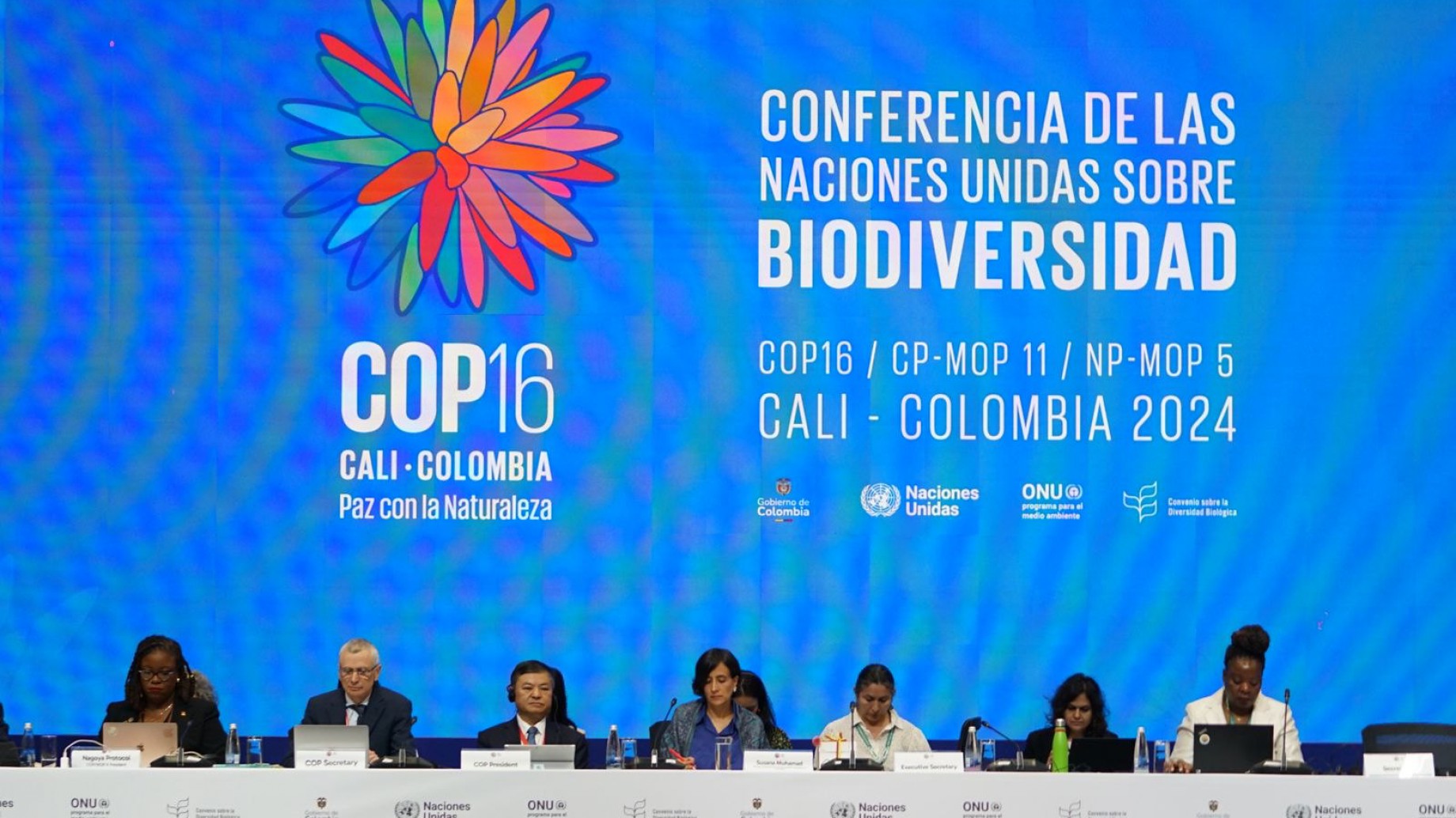 ¿Qué se necesita para que la COP16 sea "exitosa"?