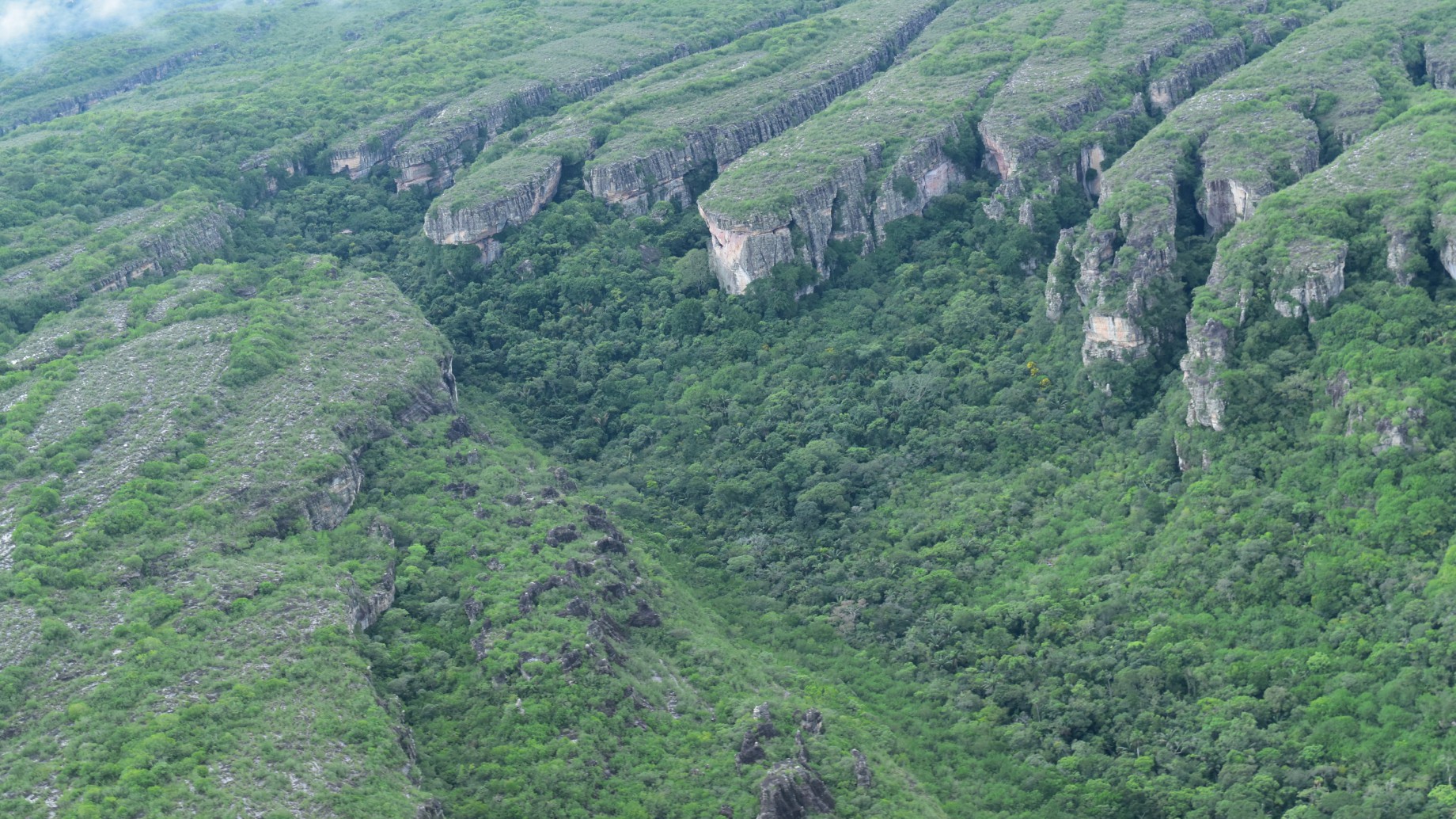 La Amazonía al borde del precipicio