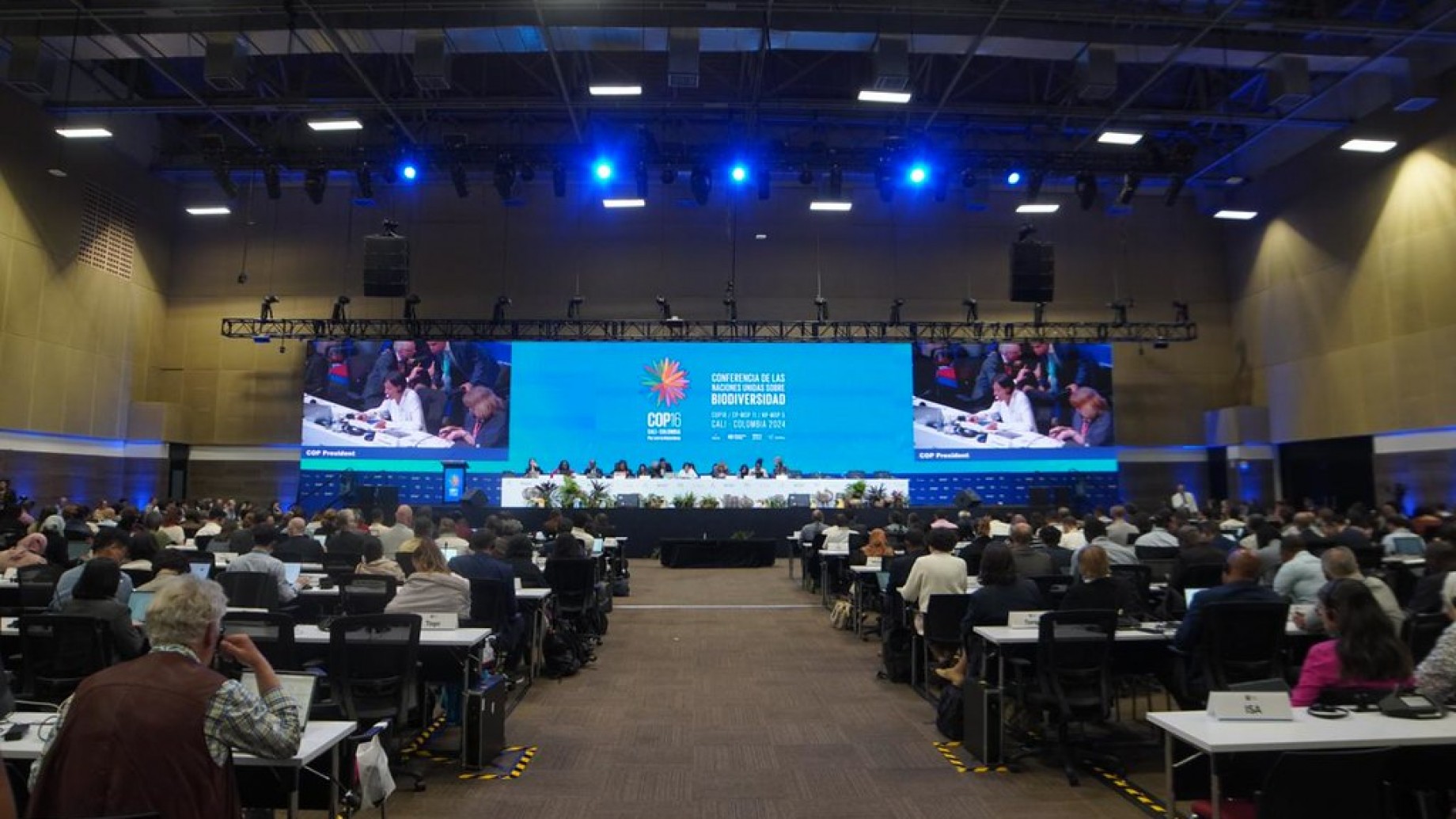 Mitad de tiempo en la COP16: ¿cuáles son los avances y retrasos tras la primera semana?