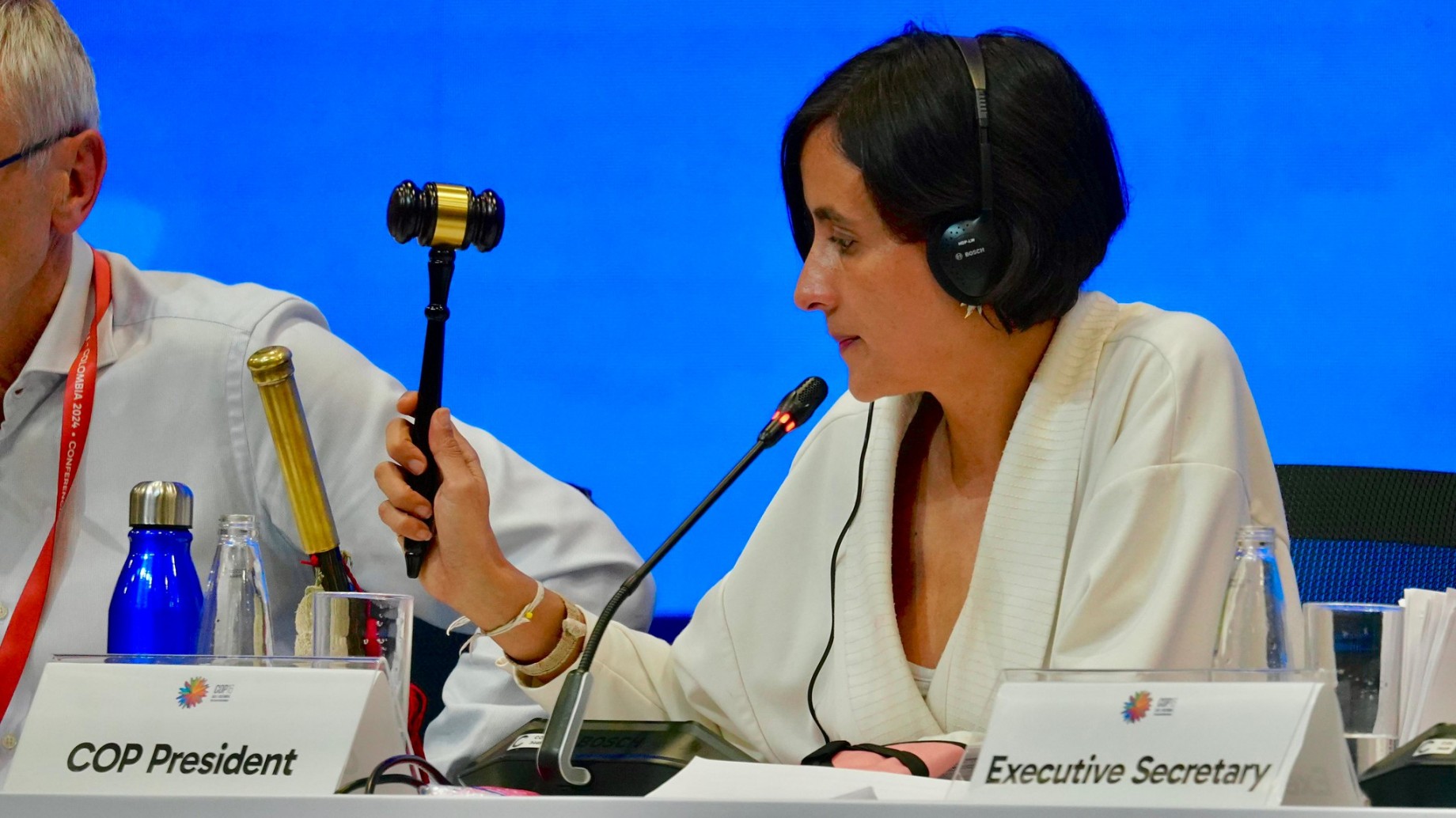 El sabor agridulce que dejó la COP16: victorias e incertidumbres