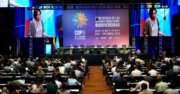 672a3bd4c30a7_600_315!