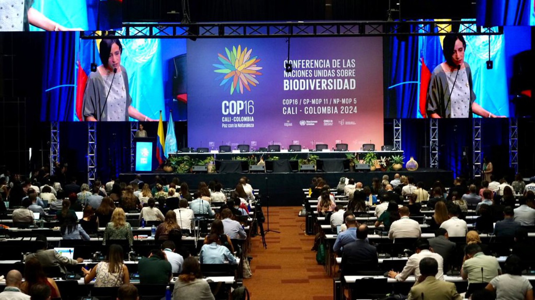 ¿Cómo impacta lo acordado en la COP16 a América Latina?