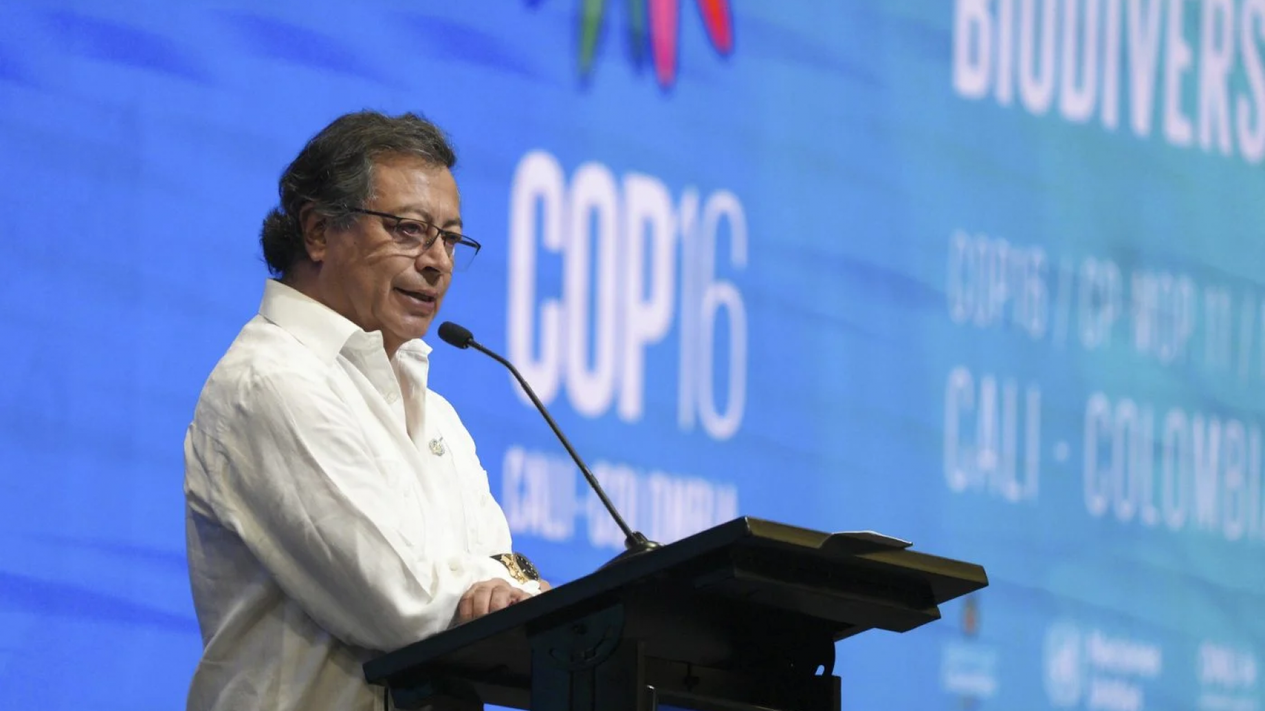 La COP16 logra avances en biodiversidad, pero posterga debates sobre financiamiento