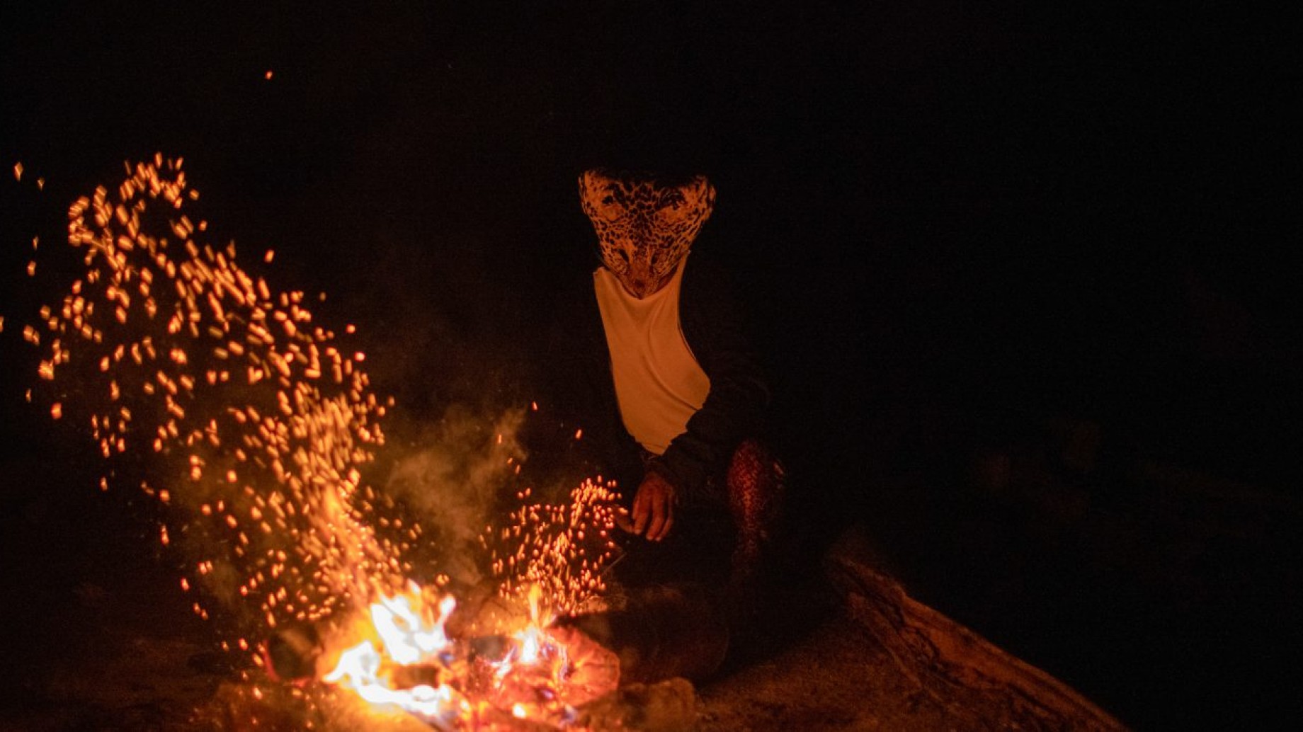 ‘La cura está en el bosque': El viaje de un chamán en la Amazonía brasileña