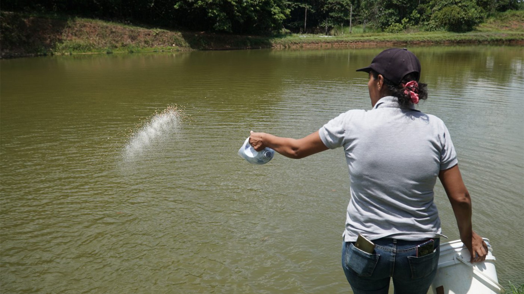En Colombia, las mujeres cambian el cultivo de coca por la piscicultura