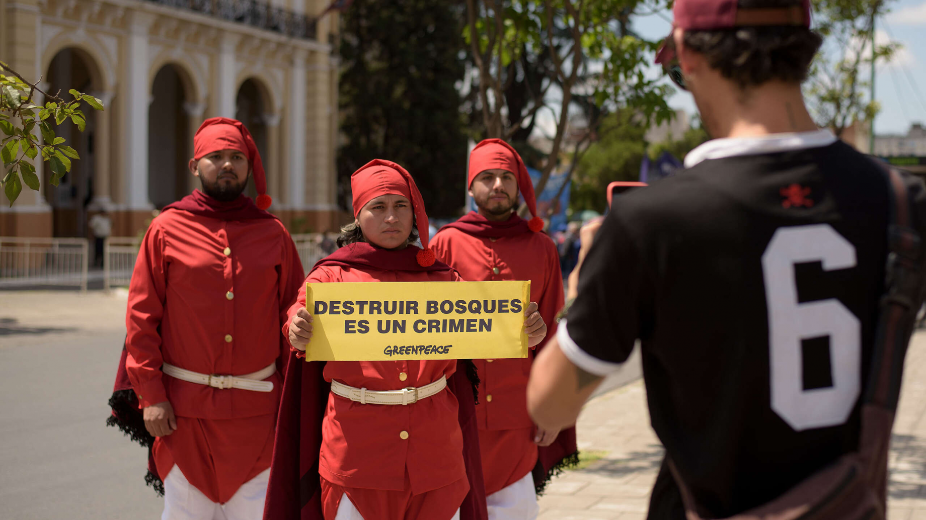 El nuevo Ordenamiento Territorial de Bosques Nativos permitiría nuevos desmontes en Chaco y Salta