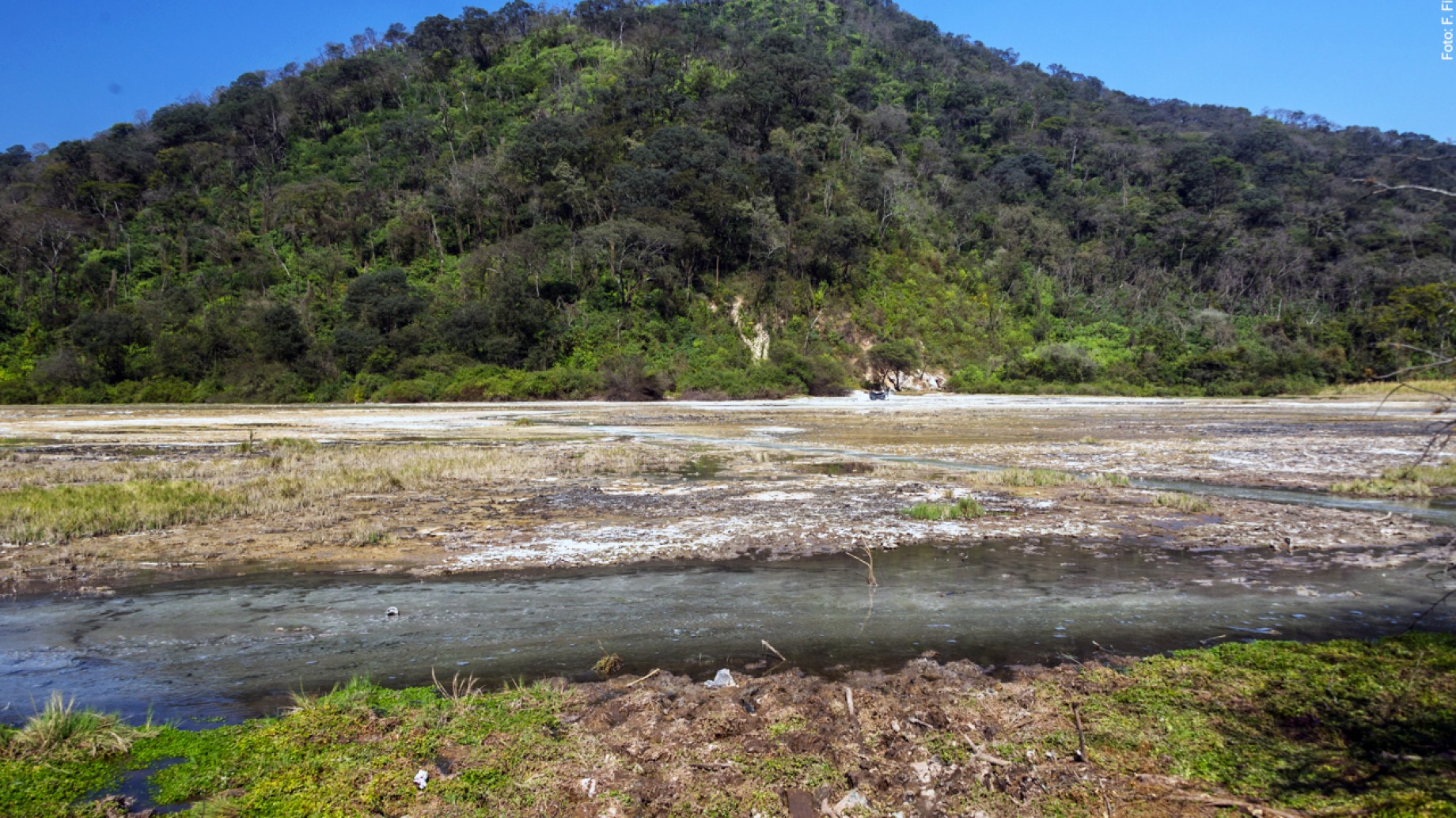 ¿Por qué es urgente conservar los humedales altoandinos?