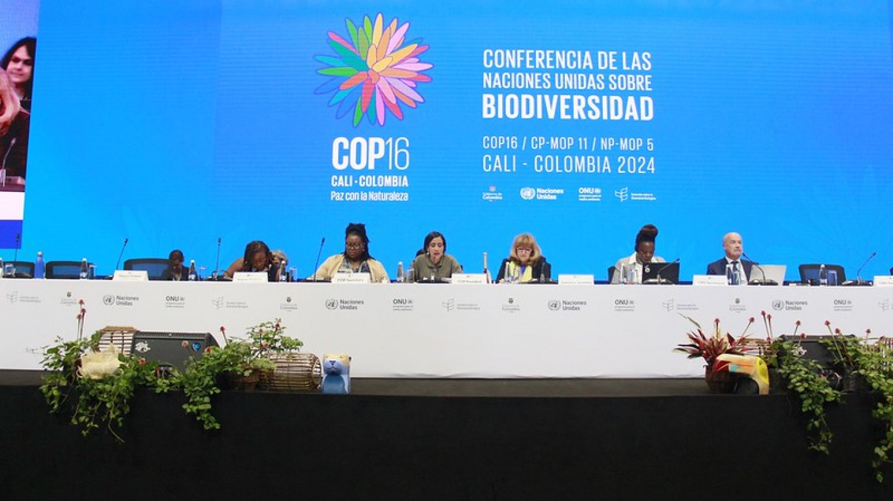 COP16 de Biodiversidad: Roma será el escenario para retomar las negociaciones truncadas en Cali