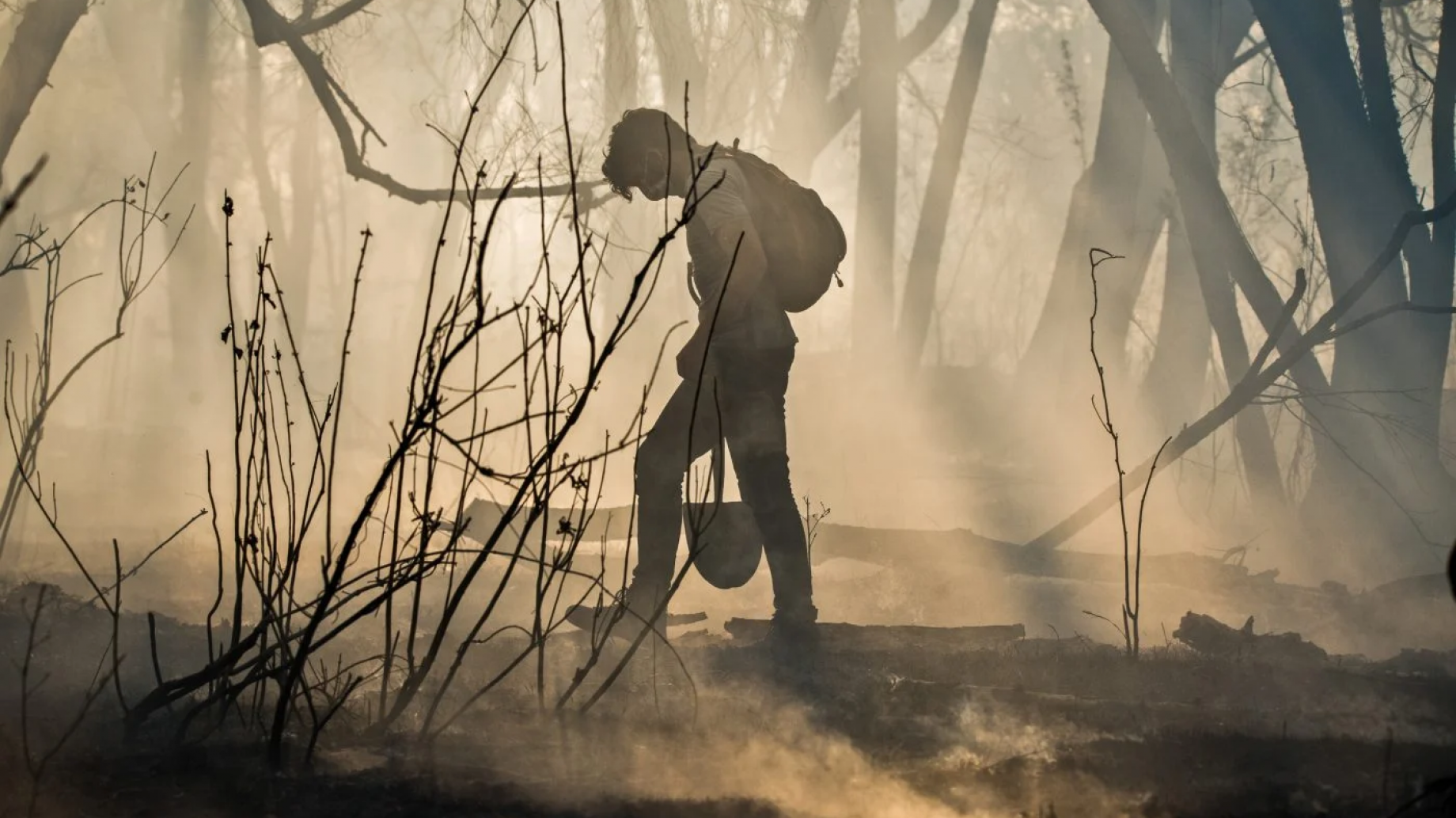 Ley Yolanda: la lucha por mantener viva la ley argentina de formación ambiental