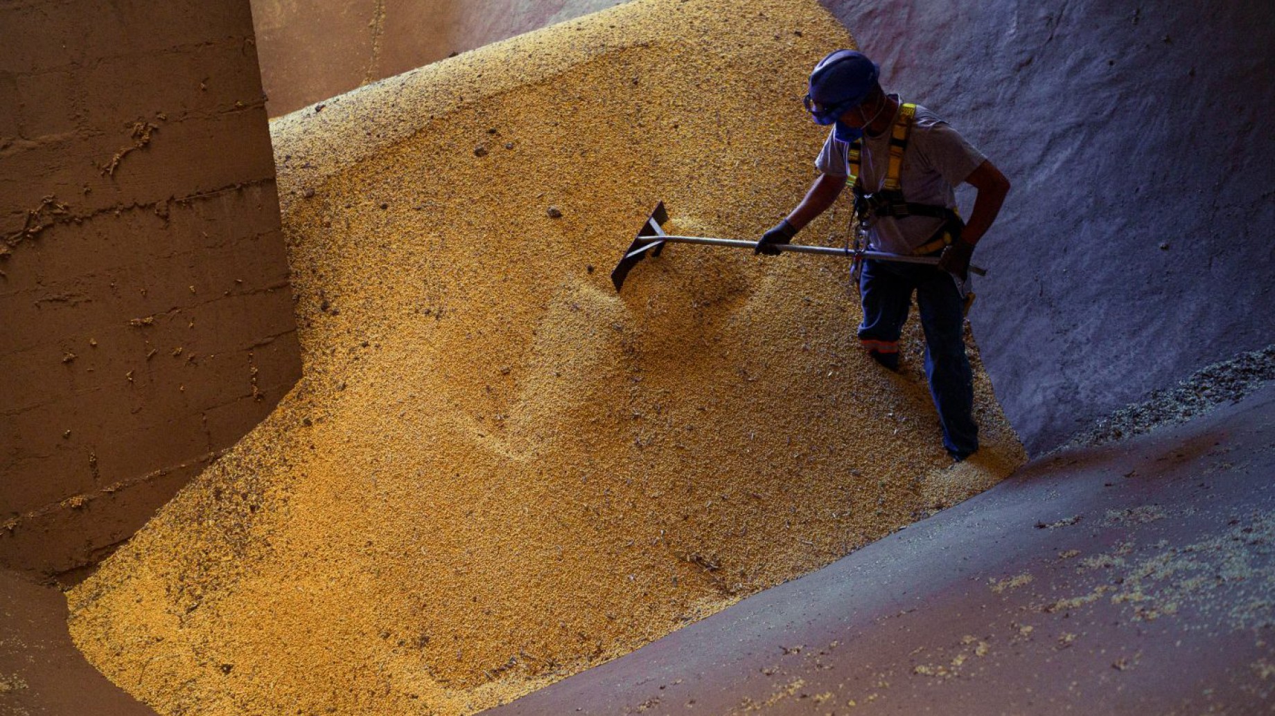 La guerra de aranceles entre EE.UU. y China podría aumentar el riesgo de deforestación en Brasil