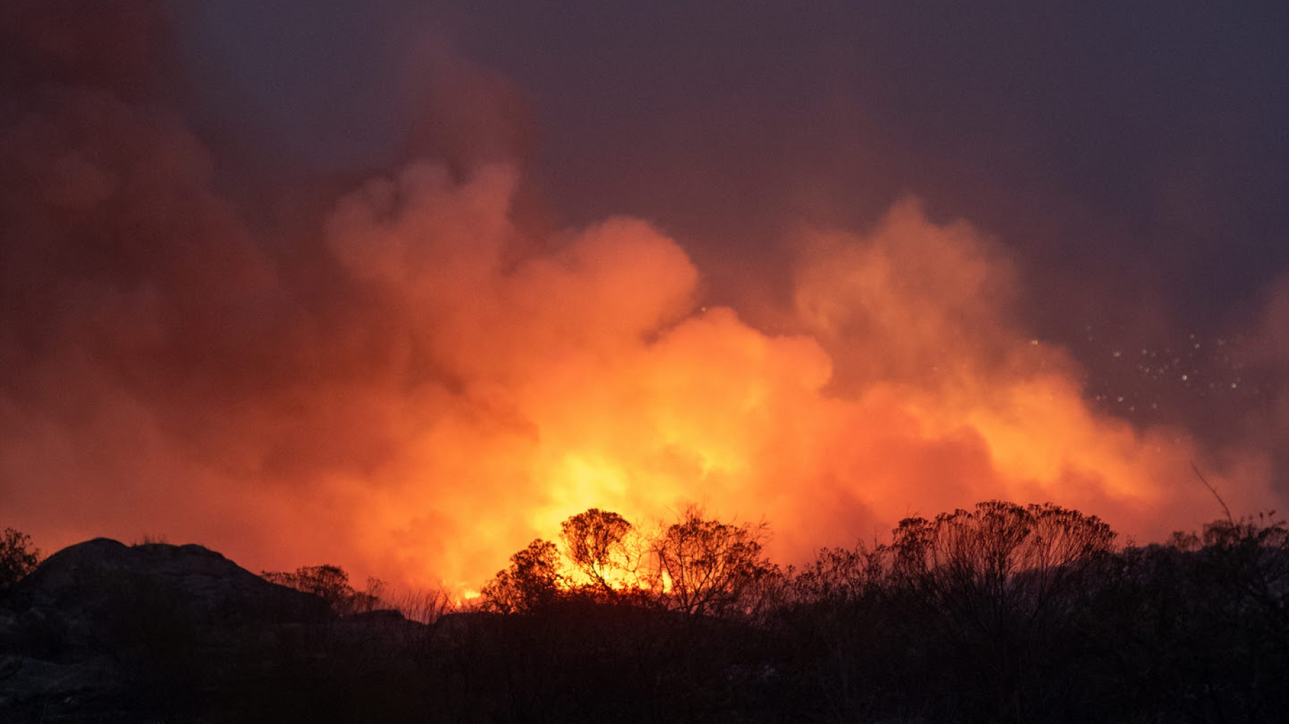 Día Mundial del Ambiente: crisis climática y retrocesos en políticas ambientales