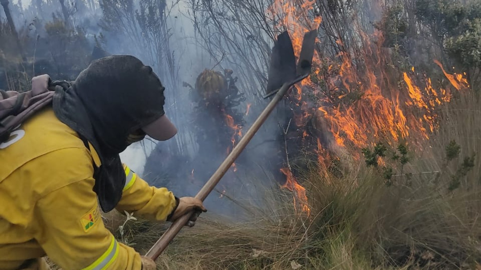 Cómo los incendios forestales están destruyendo los mayores sumideros de carbono en América Latina