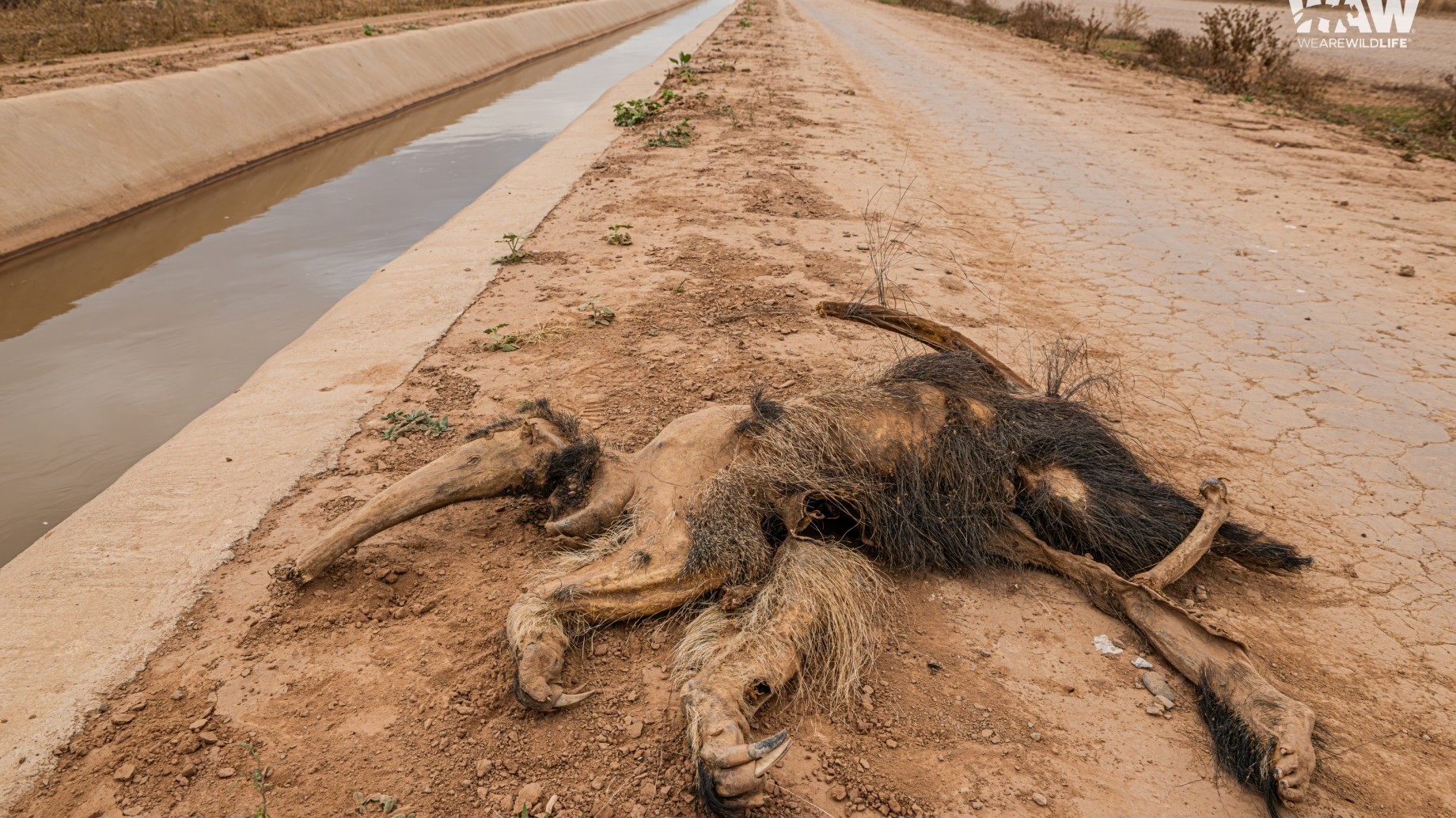 Procuración General de la Nación dictaminó en favor de la competencia originaria de la Corte Suprema