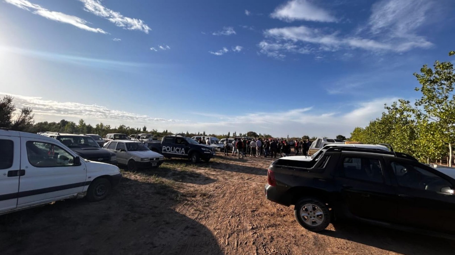 Operativo en Mendoza: Desmantelan organización de carreras de galgos