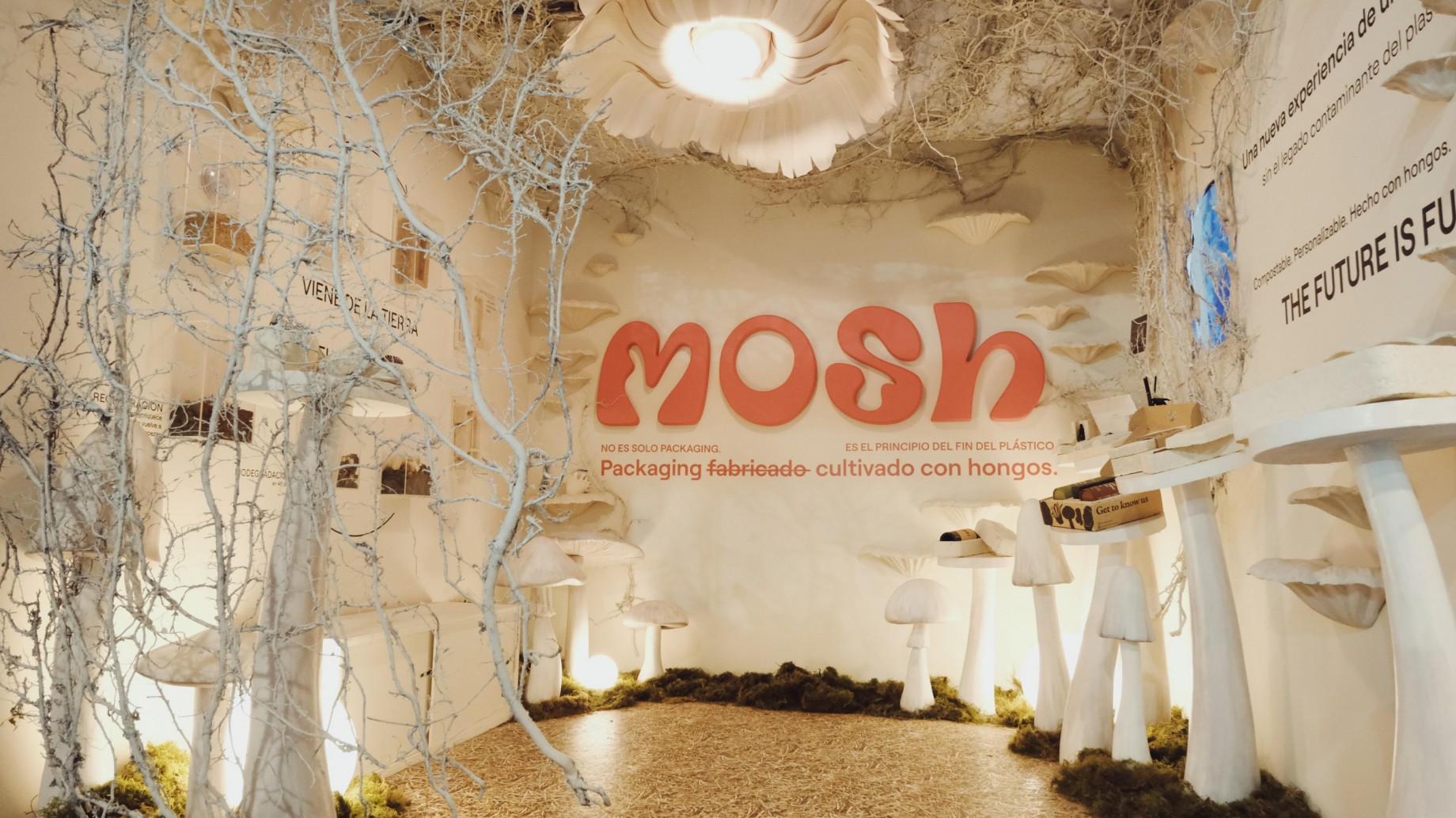 Micelio y Biotecnología: Por qué la raíz del hongo está revolucionando la industria