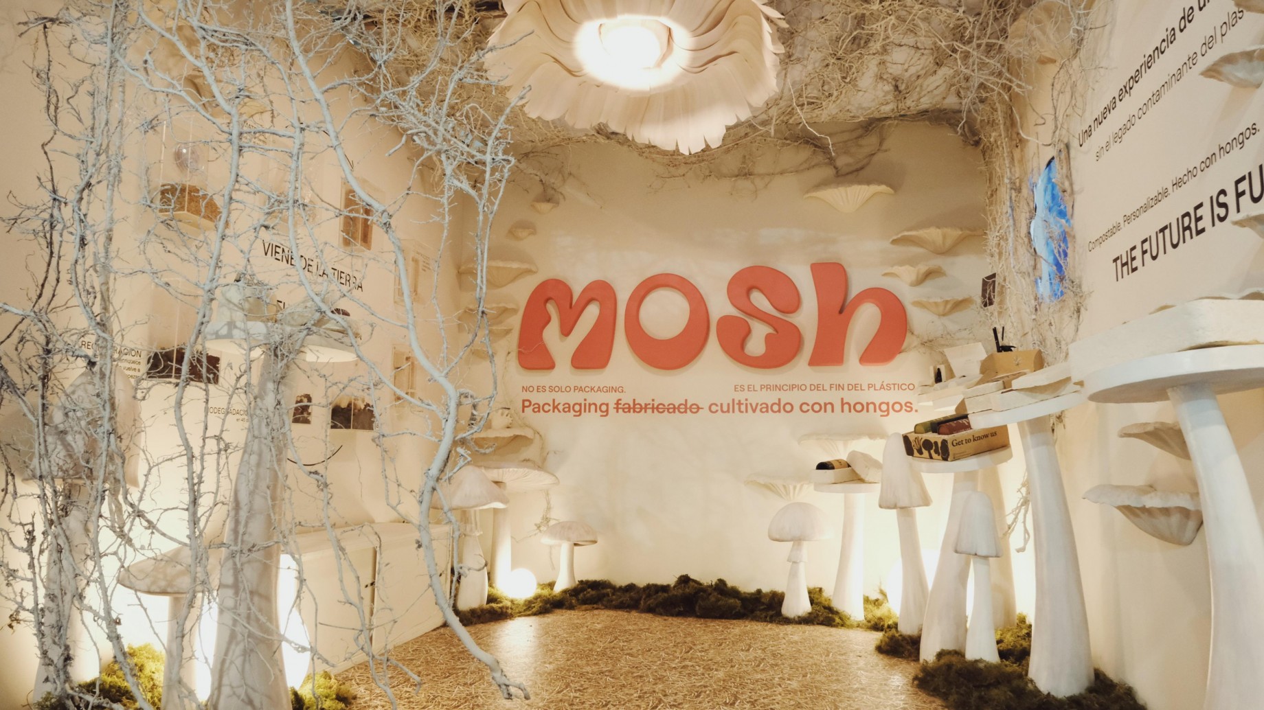 Micelio y Biotecnología: Por qué la raíz del hongo está revolucionando la industria