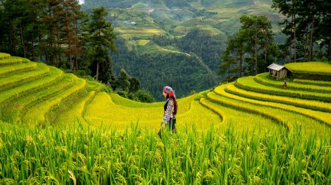 Economía Bioregenerativa y Prosperidad Ecológica